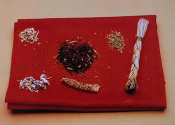 sacred plant